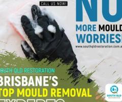 Mould Testing & Removal Services in Brisbane, Gold Coast & Sunshine Coast